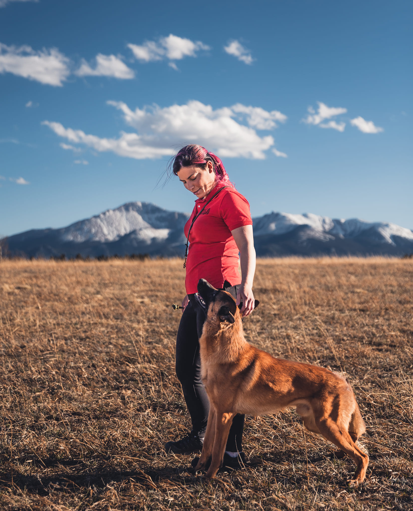 Dog and trainer connected during heeling